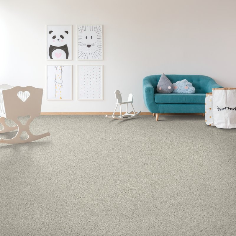 Blue Springs Carpet & Tile providing easy stain-resistant pet proof carpet in Blue Springs, MO Tender Moment II -Dune